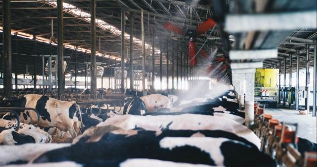 dairy equipment manufacturers in Pakistan