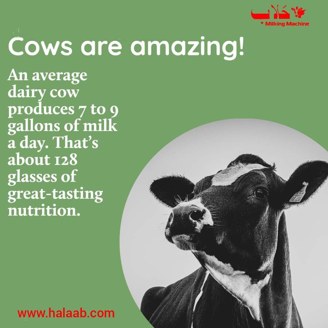 dairy milk machine price in pakistan